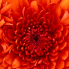 J M.'s profile image