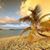 Barb Popescu's profile image