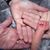 Bonnie Dunnigan's profile image