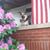 Carrie Lundy Morales's profile image