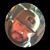 Gustavo Hernandez's profile image