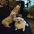 Linda Atkinson Dickey's profile image