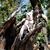 Ruth Garsee's profile image
