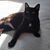 Brenda Jones's profile image