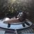 Amber Lindsay Cederberg's profile image