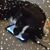 Heather Seals's profile image