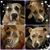Dorothy Meade Grier's profile image