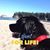 Judy Stallings Rooke's profile image