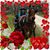 Sharyn Knecht's profile image