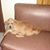Dorothy Alcuela Peralta Mupas's profile image
