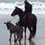 Terry Lee Veinot's profile image