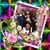 Rita Del Castillo's profile image