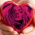 Mallory Nettles's profile image