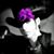 Monica Dillard's profile image