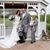 Hilary Schreib's profile image
