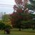 Gail Wilson's profile image