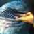 Jennifer Rigsby Mosley's profile image