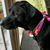 Mishelle Ezzell's profile image