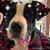 Gabi Doty's profile image