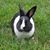 Carla Cfept's profile image