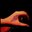 Lina Y.'s profile image