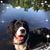 Collette Alonzo's profile image