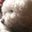 Zoë's profile image