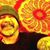 Bobby Lurz's profile image