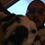 Dozer Biggs's profile image