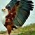 Mike An Jessica Dezarn's profile image