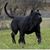 Bryan Handberry's profile image