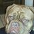 Barbara Kramer's profile image