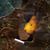 Steph Keene's profile image