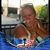 Mary Sissy Hestley-Searle's profile image
