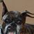 Jennifer LaFene Rowell's profile image