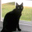 Elle Kimberley's profile image