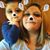 Robyn Terrones's profile image