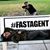Kenny Fast's profile image