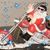 Lisa Layer Scrivner's profile image