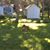 Sandy Hoppe's profile image
