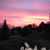 Darlene Cadman Phillips's profile image
