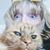 Patti Wheeler Nakamura's profile image