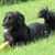 Kevin Corliss's profile image