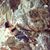 Huong Ha's profile image