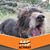 Leslie Blanchard's profile image