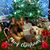 Kristen Guinnane's profile image