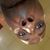 Ronnie Hyatte's profile image