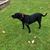 Catharine Colongello Slapa's profile image