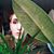 Savvi Lee's profile image