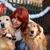 Cathy Hamby's profile image